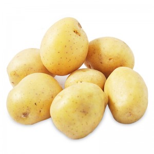 висококачествени пресни картофи за износ в чужбина