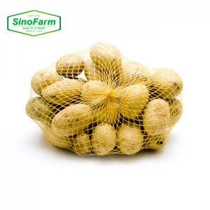 Exportación de patatas frescas al extranjero para producir patatas fritas