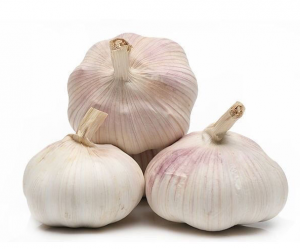 Garlic Import