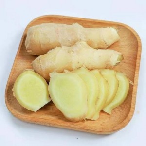 High standard seasonal vegetables fresh high-quality ginger shandong seasonal ginger