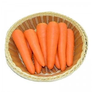 थोक खस्ता लंबी ताजा गाजर
