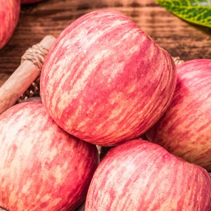 Chinese hete verkoop hoge kwaliteit verse zoete rode Fuji-appel