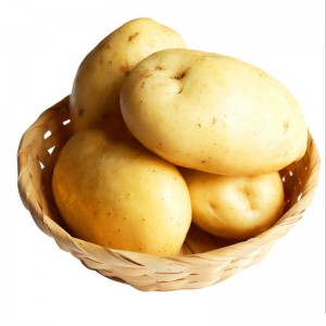 Prezzi di esportazione di patate fresche all'ingrosso con la migliore qualità
