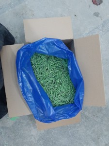 Поврће Конзервирана храна од дугог пасуља Зелени пасуљ у замрзнутом поврћу