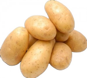 신선한 감자 파키스탄 신선한 감자 프랑스