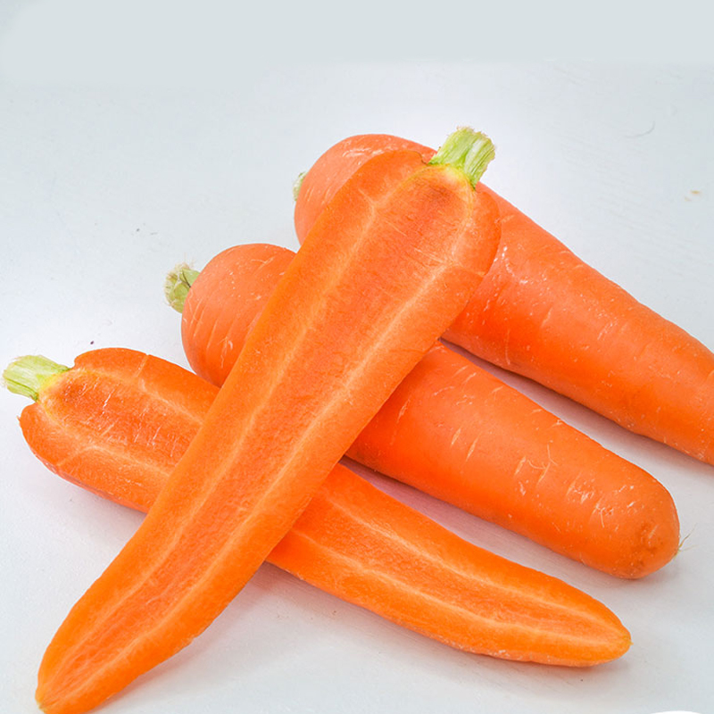 Cenoura fresca de melhor qualidade 2021 / cenoura nova colheita da Tailândia Imagem em destaque