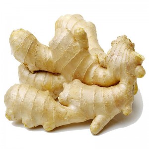 Sìnis Fresh Ginger Àrd-inbhe Ginger Export