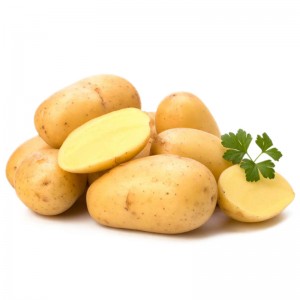 Hoge kwaliteit bulk verse aardappelen met een lage prijs