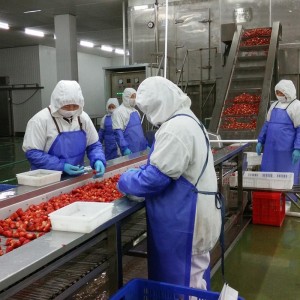 कोरिया फ्रीज ताजा स्ट्रॉबेरी