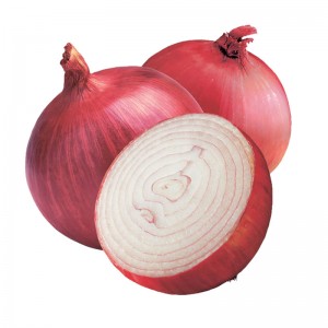 Hot Selling Onions I-export ang De-kalidad na Sibuyas