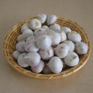 2021 Cina/Cinese Miglior prezzo all'ingrosso dell'aglio Aglio normale bianco puro bianco fresco da esportazione