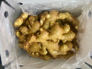 Presko nga China Ginger Air Dried Ginger Wholesale nga adunay GLOBAL GAP Color Shelf