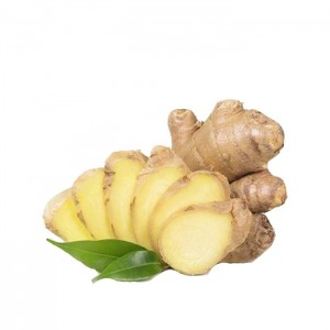 Vysoko kvalitný sušený čerstvý zázvor trhová cena za kg veľkoobchodní kupujúci zázvoru na vývoz do Indie Ginger