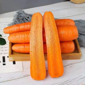 Lag luam wholesale nqi raws caij nyoog tshiab farmhouse zoo carrots ib tuj ntawm tshiab carrots