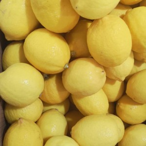 Жогорку сапаттагы Кытай оптом Fresh сары лимондор