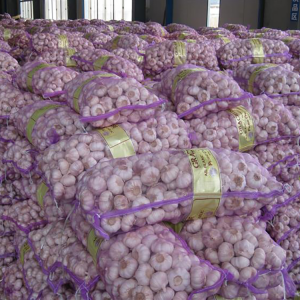 2021 Китай/Китай Най-добрата цена на чесън на едро Нормално бял чисто бял пресен чесън за износ