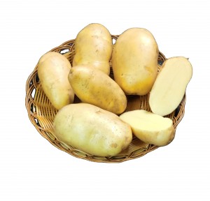 kentang seger pakistan kentang seger Perancis