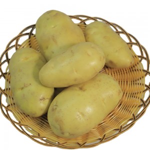 patata fresca pakistán patata fresca francia