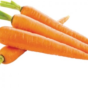 Hot Sales Vietnam Carrot Cum Best Price High Quality Safety For Health