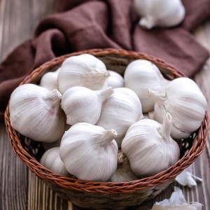 Harga Murah cina Pure white fresh garlic