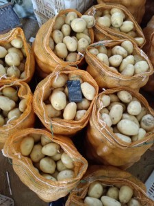 人気野菜のフレッシュポテト 新鮮なサツマイモを格安で輸出