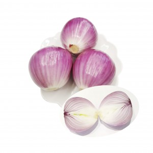 Best Quality Widely Selling Fresh India Onion