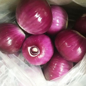 Hot Selling Onions I-export ang De-kalidad na Sibuyas