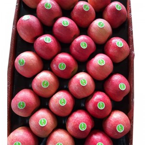 2021 fruta të reja të freskëta mollë të kuqe Fuji