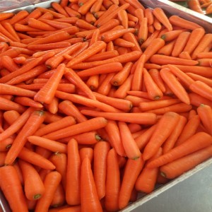 sateenkukkaiset vihannekset -tuotetyyppi ja hyvälaatuinen porkkana