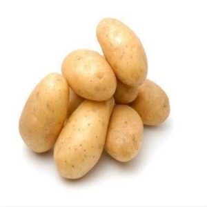 Preu a l'engròs de patata d'exportació de patata fresca de verdures populars