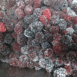 Berries iqf frozen blackberry nga prutas