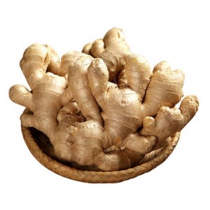 Eksportpriis 1kg China Mature Fresh Ginger