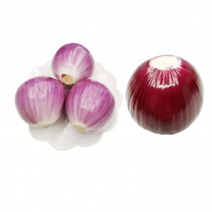 Wholesale Export Big Fresh Red Onion For Sale Buyers