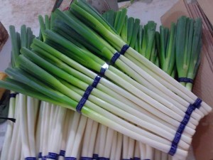 2021 I-export ang Natural na Malaking Halaga ng Chinese Shandong Long Fresh Green Onion