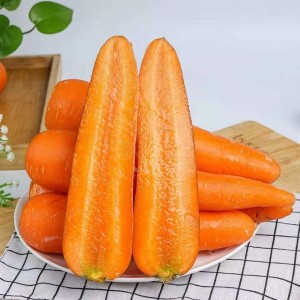 Preço de atacado cenouras frescas sazonais de qualidade de fazenda uma tonelada de cenouras frescas