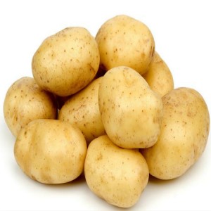 Populāra dārzeņu svaigo kartupeļu eksporta kartupeļu vairumtirdzniecības cena