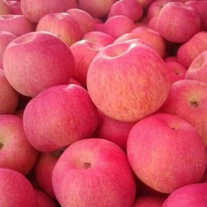 סין אדום טעים תפוח טעים תפוחי פוג'י טריים