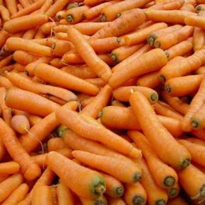 Bulk Barato nga Fresh Carrot