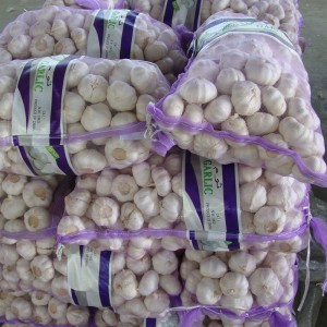 Kinijos normalus baltas šviežias česnakas 10 kg tinkliniame maišelyje