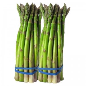 အရည်အသွေးမြင့် Asparagus Seed F1 မျိုးစပ်