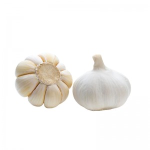 Slàn-reic 2021 Garlic geal ùr tioram bho luchd-saothrachaidh garlic Sìona 2 neach-ceannach