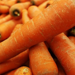 оптом хрустка довга свіжа морква