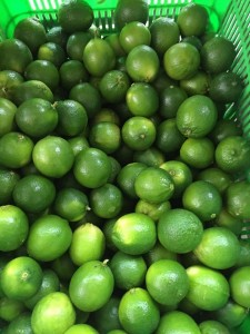 Зелен кисел лайм пресен цитрусов плод/ пресен лимон без семки