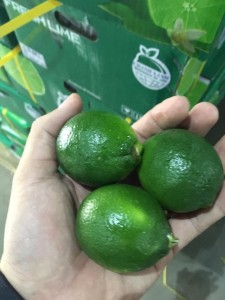 Zelena kisela limeta Svježe citrusno voće/svježi limun bez sjemenki