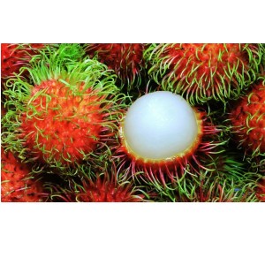 Sladká organická certifikácia VIETGAP 6-8 ks na kg čerstvého ovocia rambutan z Vietnamu