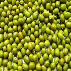 Зелені боби мунг