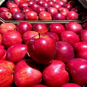 Čerstvé lahodné červené a zelené jablko prémiovej kvality