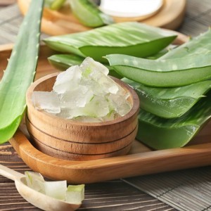 Bra kvalitet Skär Aloe Vera Färsk organisk ljusgrön Aloe Vera från Vietnam