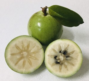 Najprodavanija jabuka bijele zvijezde dobre kvalitete sa rokom trajanja od 10 dana iz zapadnog Vijetnama