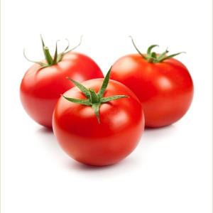 고품질 – 신선한 토마토 – 터키산